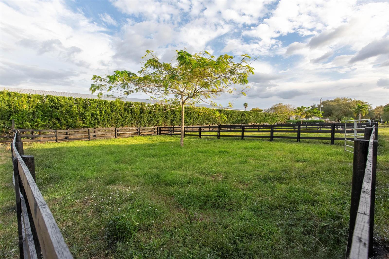 A fenced grassy paddock features a single tree under a cloudy sky — 14367 Belmont Trace, Wellington FL 33414, WELLINGTON, FL