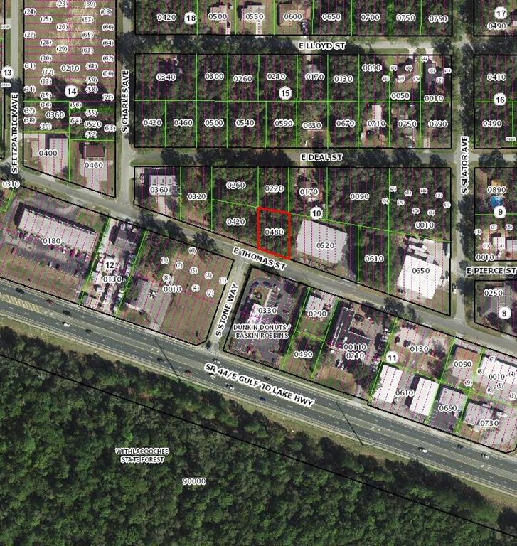 3081 E THOMAS STREET, INVERNESS, FL — photo 3 of 3