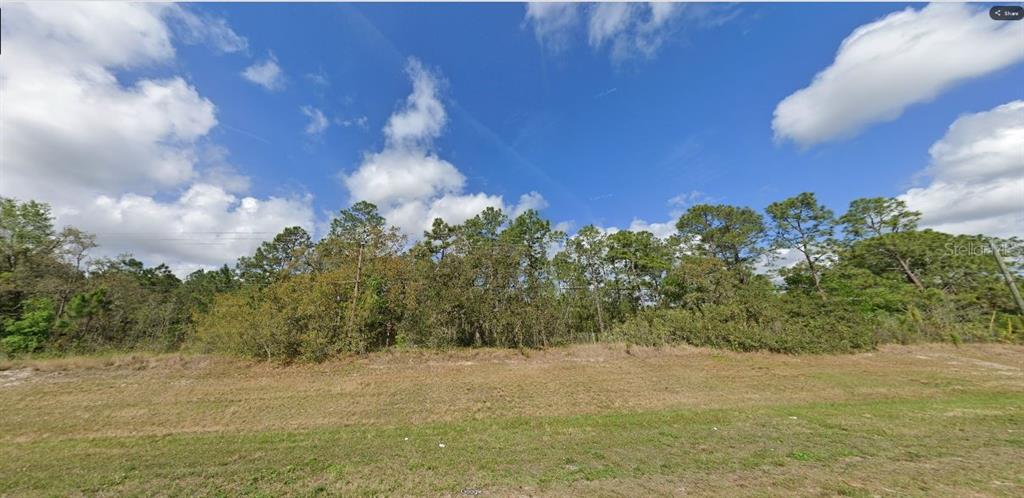 A grassy lot with a dense line of pine trees under a blue sky — COMMONWEALTH AVE N, POLK CITY, FL