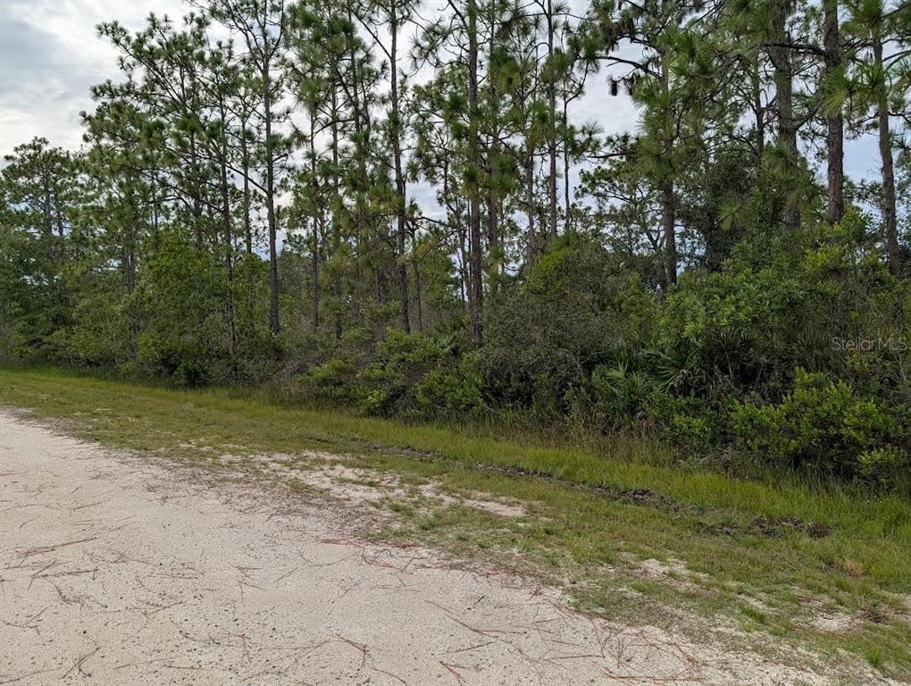 A dirt road runs alongside a dense forest of pine trees and low-lying shrubs — 408 AZALEA DRIVE, INDIAN LAKE ESTATES, FL