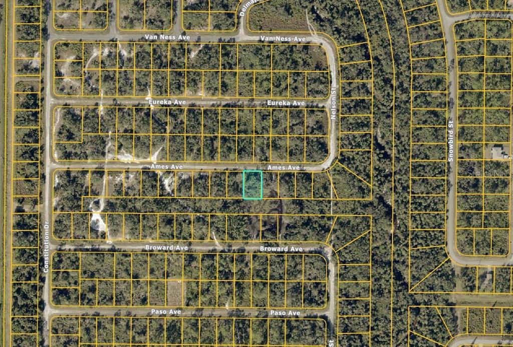 An aerial map shows a highlighted rectangular lot located along a residential street — Lot #45 AMES AVENUE, NORTH PORT, FL
