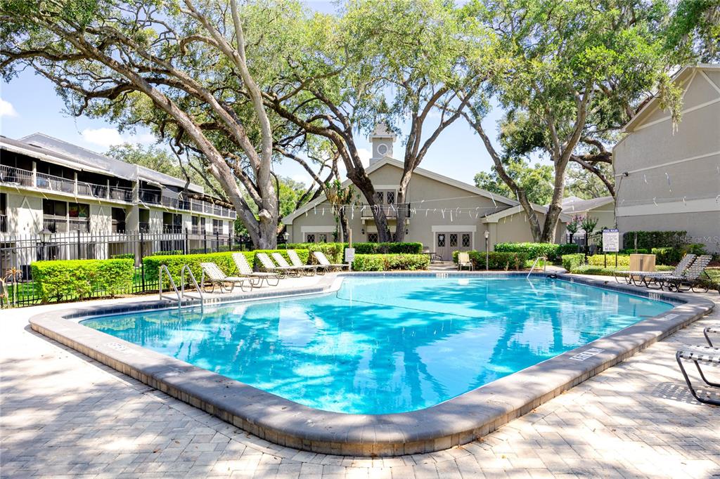 A swimming pool sits in front of a multi-story apartment building with large oak trees — 14424 REUTER STRASSE CIRCLE UNIT 104, TAMPA, FL