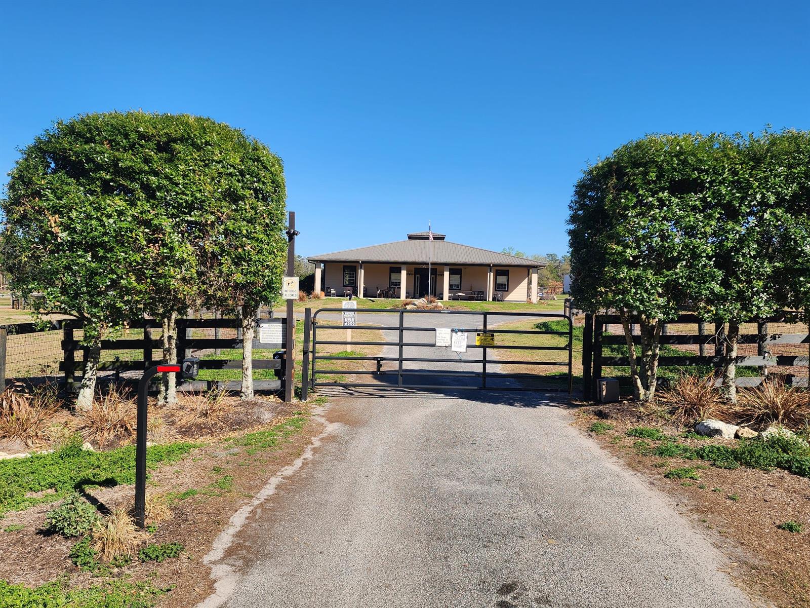 A gated driveway leads to a single-story house framed by two large, manicured trees — 6025 NW 115th Avenue, Ocala FL 34482, OCALA, FL