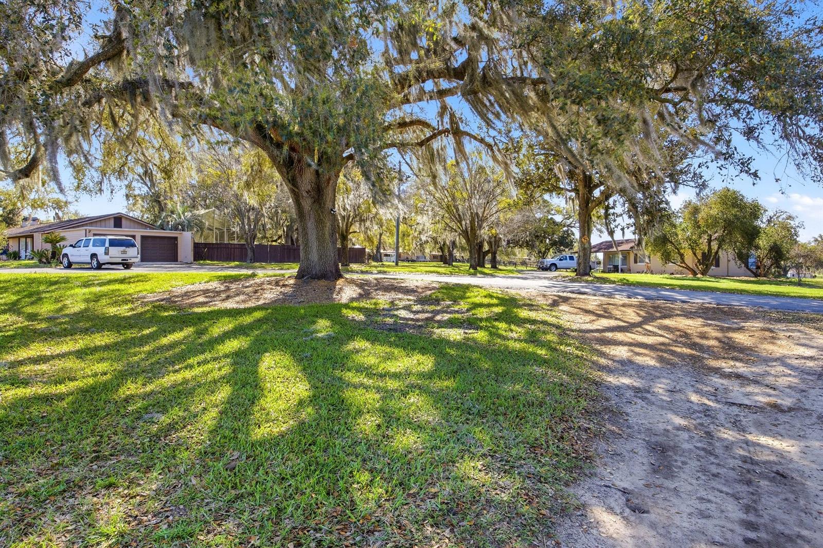 A large oak tree with Spanish moss stands in a grassy yard near a house — 6025 NW 115th Avenue, Ocala FL 34482, OCALA, FL