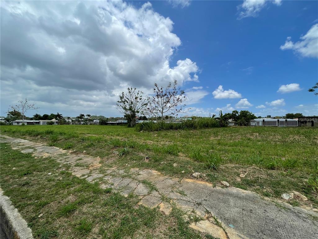 A vacant grassy lot with a cracked concrete sidewalk in the foreground under a cloudy sky — CARRETERA #2 CANDELARIA WARD INTERIOR, TOA BAJA, PR