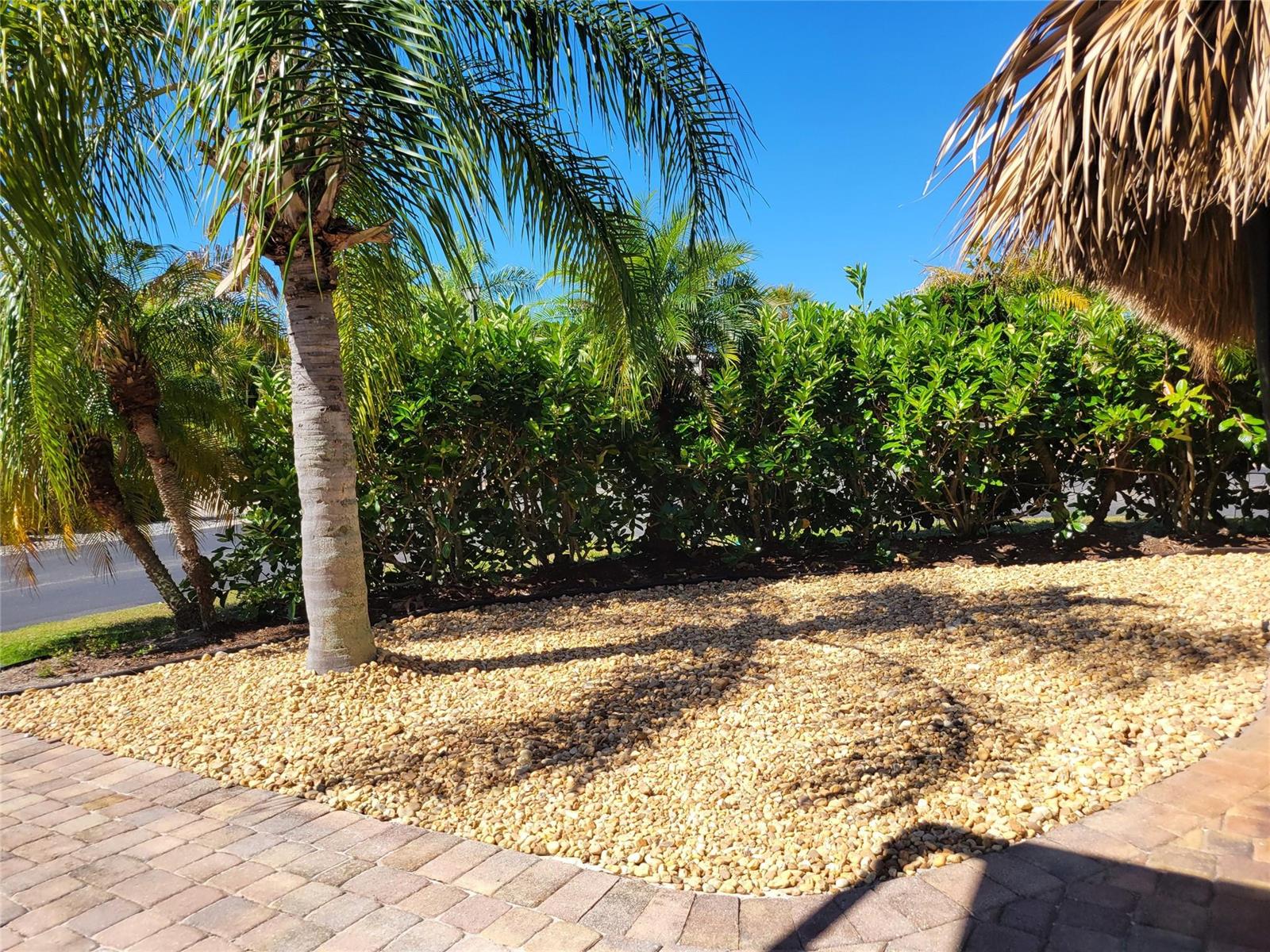A palm tree stands in a gravel garden bed bordered by brick pavers and hedges — 545 SW 40th Cove, Okeechobee FL 34974, OKEECHOBEE, FL