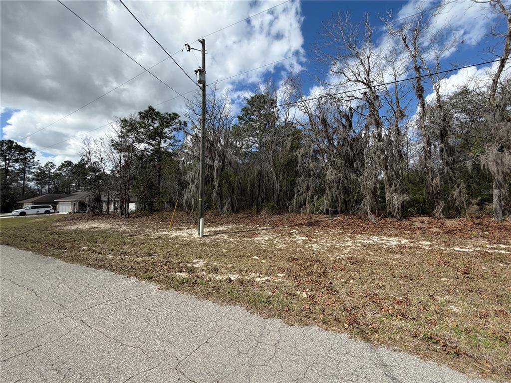 A vacant, wooded residential lot sits next to a paved road with a utility pole — 0 SW 83RD CIRCLE UNIT 14, OCALA, FL