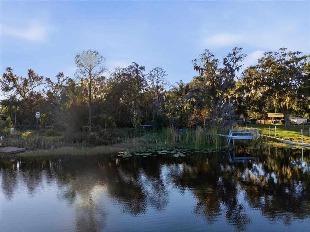 16921 CRAWLEY ROAD, ODESSA, FL — photo 4 of 30