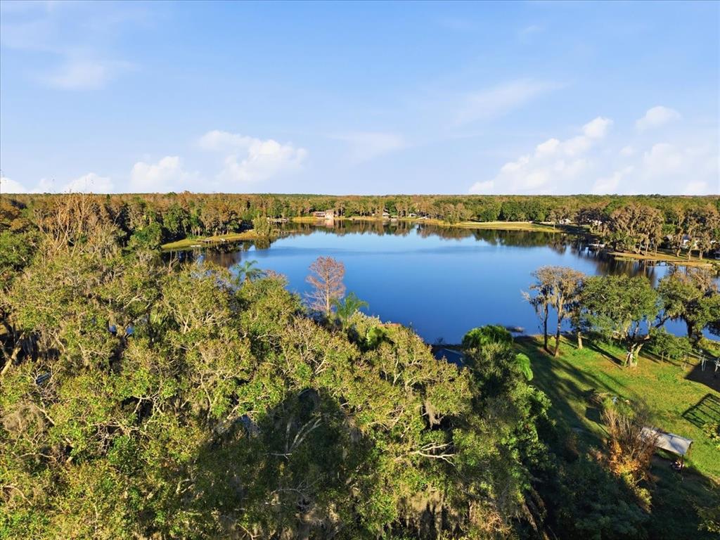 16921 CRAWLEY ROAD, ODESSA, FL — photo 5 of 30