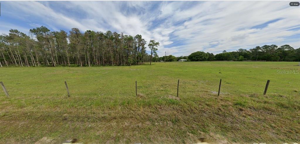 A wide, grassy, fenced-in vacant lot bordered by a line of tall trees — GREEN POND RD, POLK CITY, FL