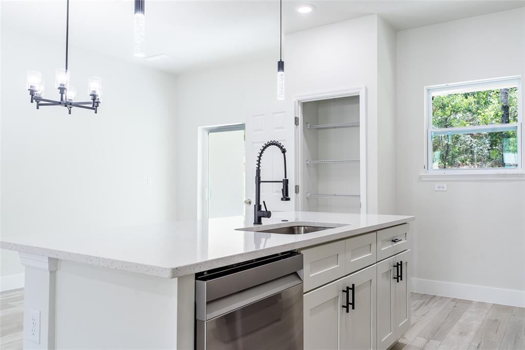 A kitchen island with a stainless steel dishwasher and sink sits before a pantry door — 10955 N DRAGONIS DRIVE, CITRUS SPRINGS, FL