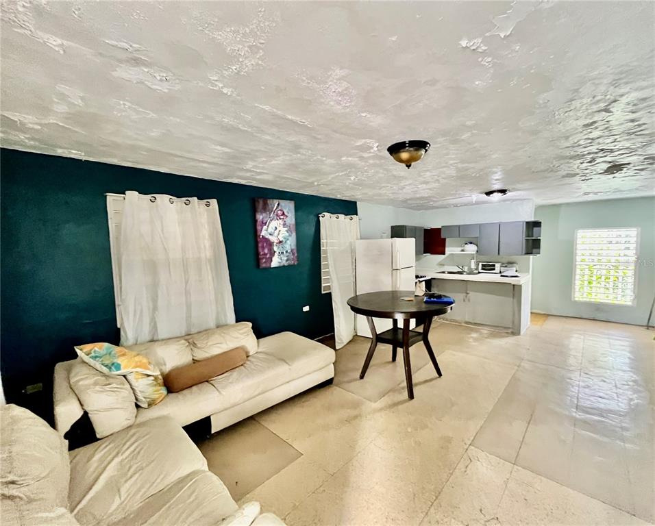 An open-concept living and dining area features a white sofa, round table, and kitchen — 233 Bo Cienaga Alta MALPICA, RIO GRANDE, PR