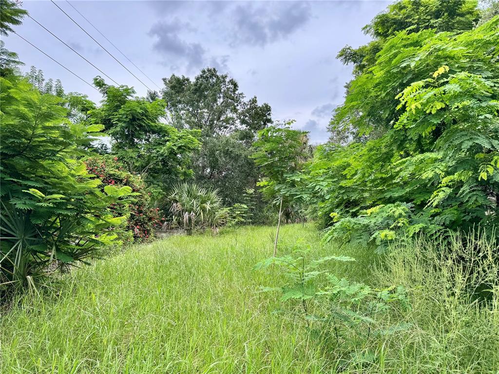 A view of an overgrown, grassy lot surrounded by dense trees and foliage — 4466 GANYARD STREET, PUNTA GORDA, FL