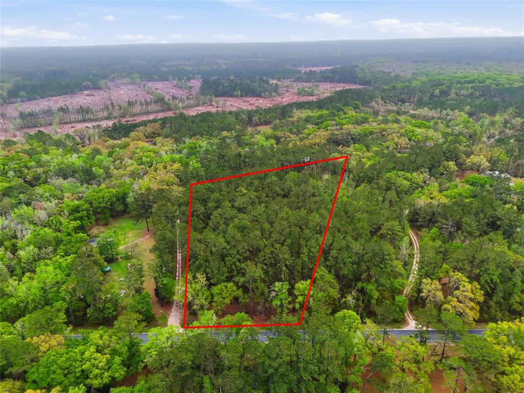 An aerial view shows a wooded lot outlined in red along a paved road — NW COUNTY ROAD 231, GAINESVILLE, FL