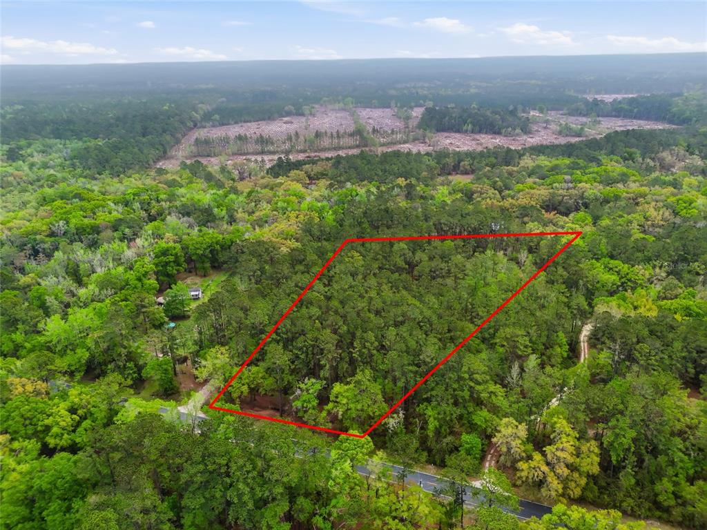 An aerial view shows a wooded plot of land outlined in red near a road — NW COUNTY ROAD 231, GAINESVILLE, FL