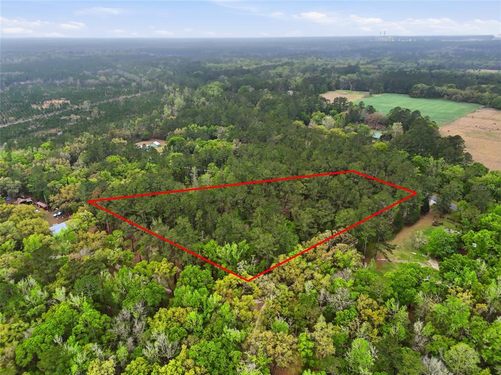 An aerial view shows a wooded plot of land outlined in red — NW COUNTY ROAD 231, GAINESVILLE, FL