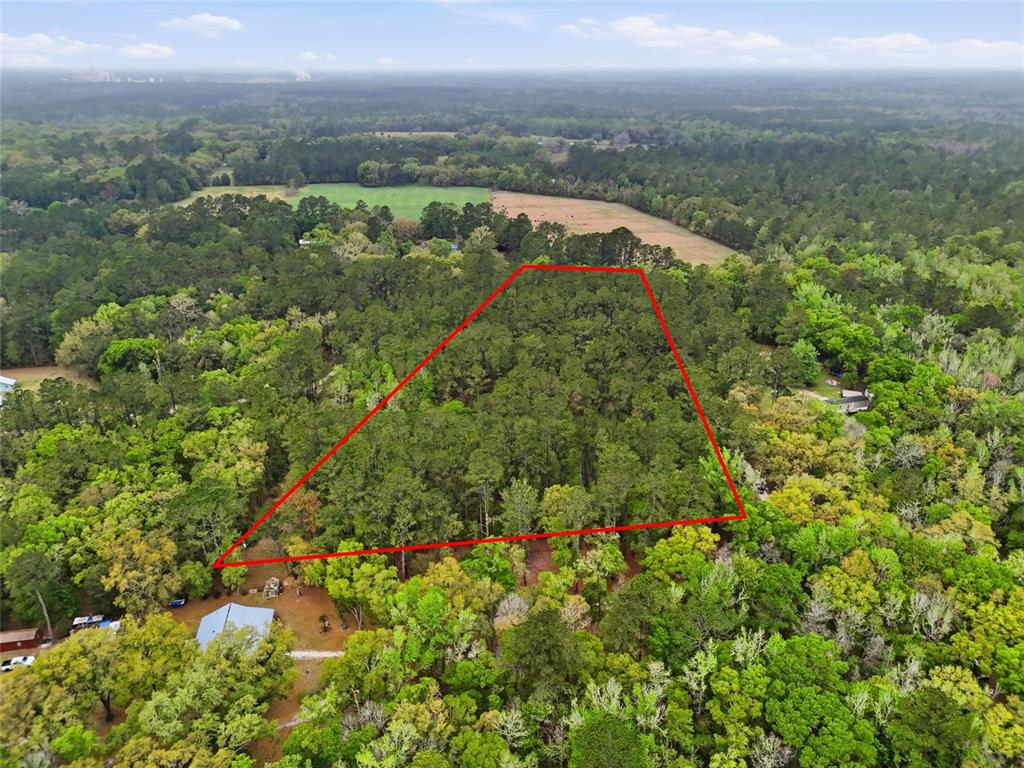 An aerial view shows a wooded lot outlined in red surrounded by trees and fields — NW COUNTY ROAD 231, GAINESVILLE, FL