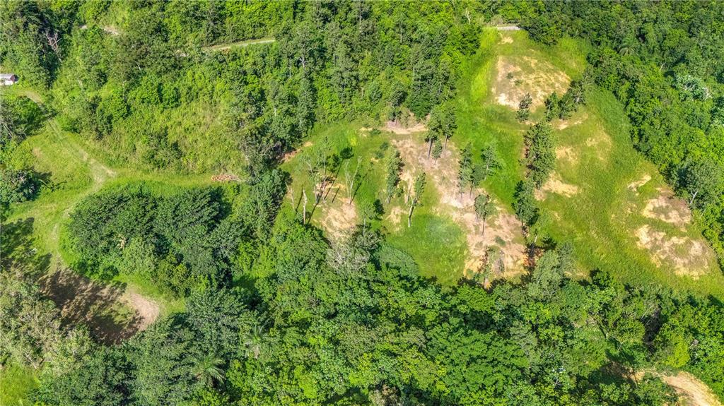 An aerial view shows a sloped, partially cleared grassy lot surrounded by dense green forest — 63 SECTOR MONTICELLO, CIDRA, PR
