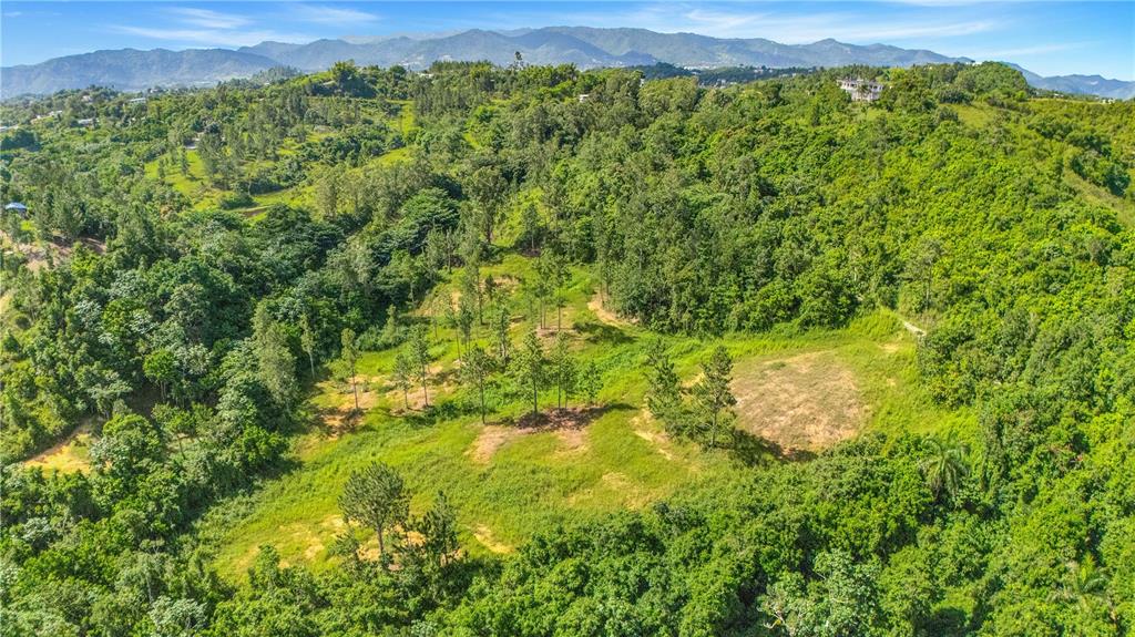 An aerial view shows a sloped, grassy lot surrounded by dense trees and distant mountains — 63 SECTOR MONTICELLO, CIDRA, PR