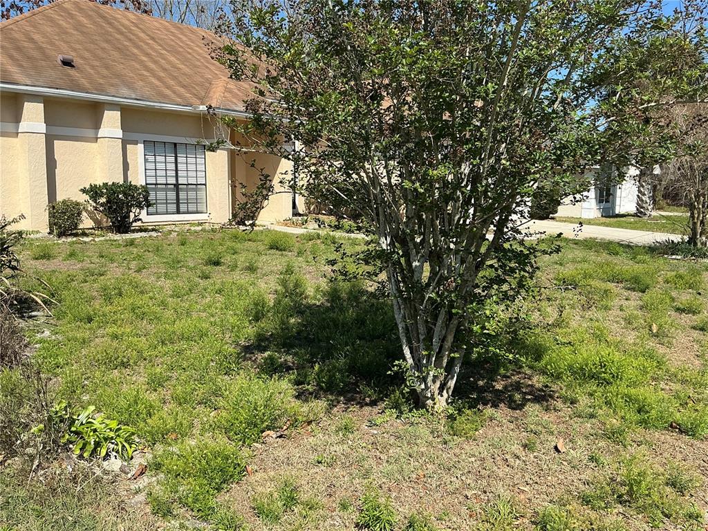 A single-story house with a tan exterior and a front yard featuring a large tree — 1009 CORKWOOD DRIVE, OVIEDO, FL