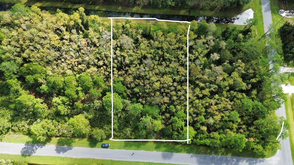 An aerial view shows a rectangular, wooded plot of land bordered by a road and canal — BASSETT AVENUE, ORLANDO, FL