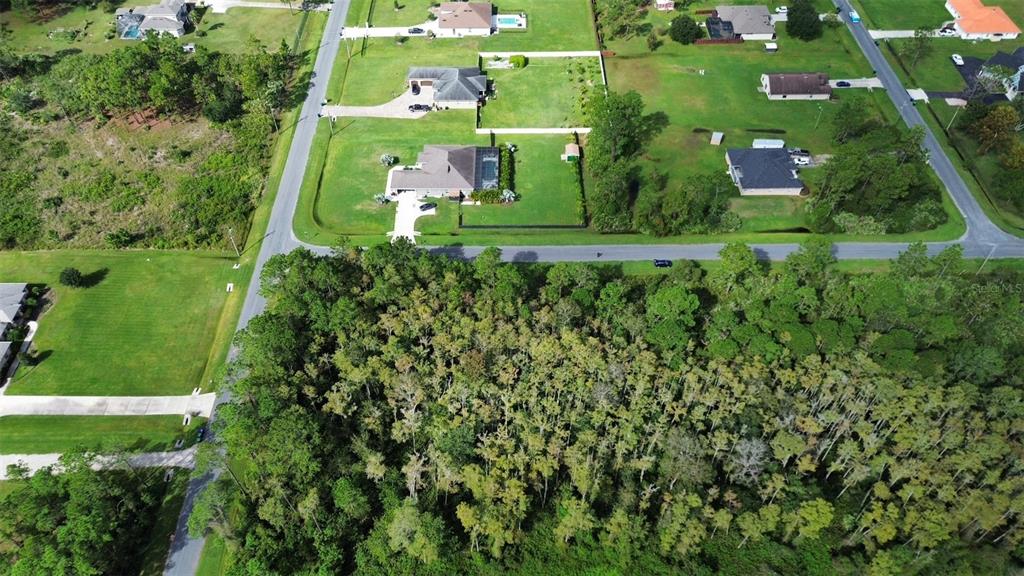 An aerial view shows a wooded lot adjacent to a residential street with several houses — BASSETT AVENUE, ORLANDO, FL