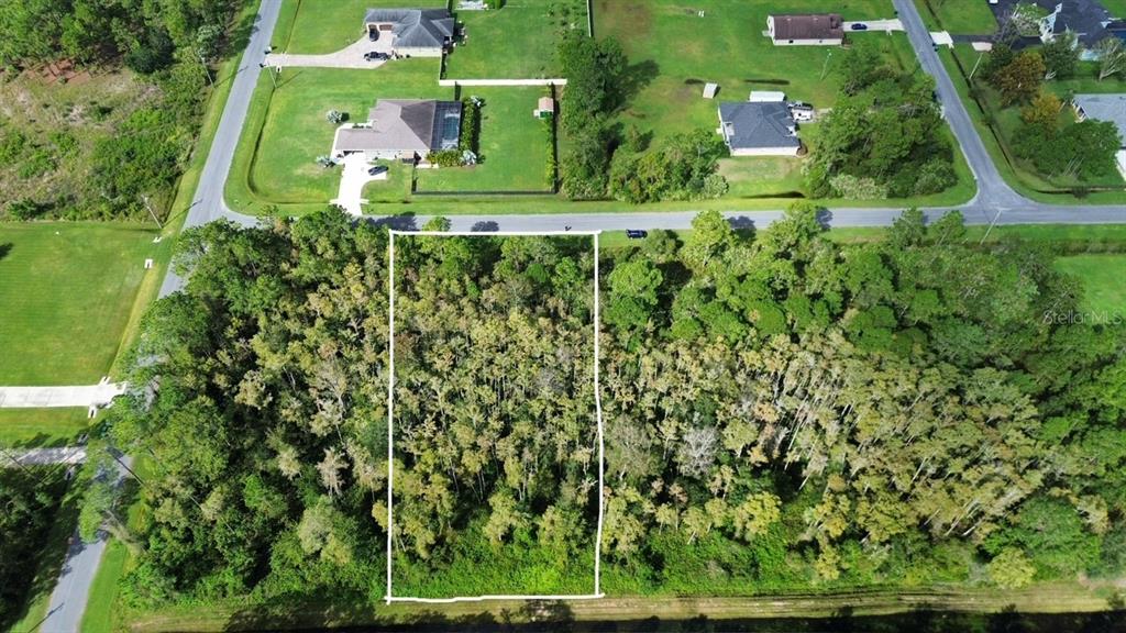 An aerial view shows a rectangular, wooded vacant lot outlined in white near residential homes — BASSETT AVENUE, ORLANDO, FL
