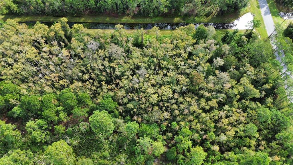 An aerial view shows a wooded lot bordered by a canal and a paved road — BASSETT AVENUE, ORLANDO, FL
