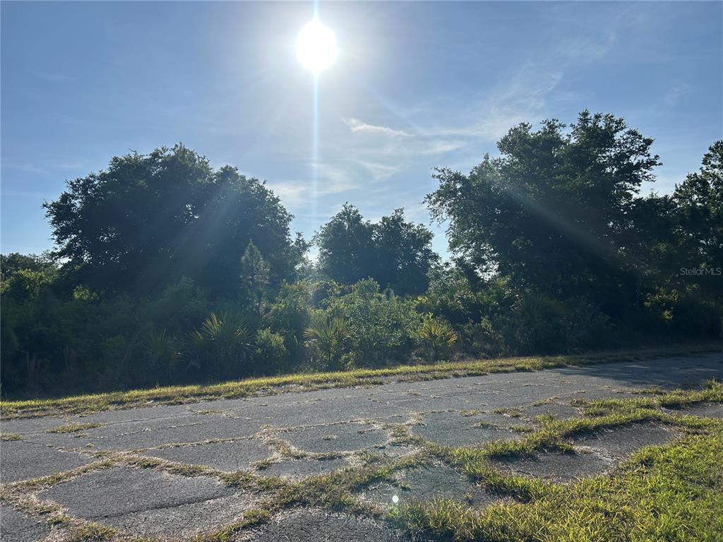 A paved road borders a vacant, wooded lot under a bright, sunny sky — WINTERVILLE CIRCLE, NORTH PORT, FL
