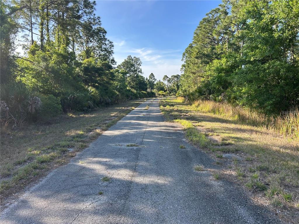 A narrow, weathered asphalt road stretches through a wooded area with dense surrounding vegetation — WINTERVILLE CIRCLE, NORTH PORT, FL