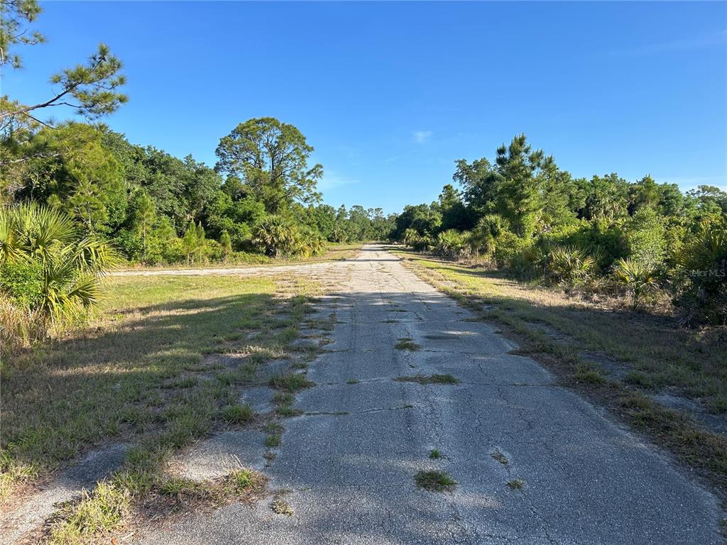 An old, cracked paved road leads through a wooded area with dense green vegetation — WINTERVILLE CIRCLE, NORTH PORT, FL
