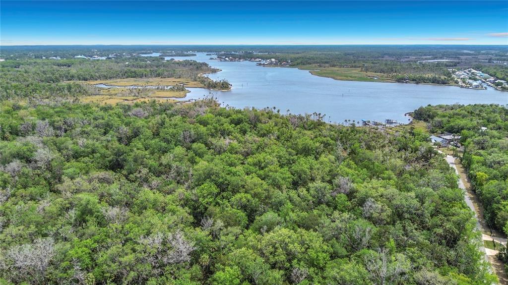 An aerial view shows a dense forest bordering a wide river with distant coastal homes — 1670 NW 19TH STREET, CRYSTAL RIVER, FL