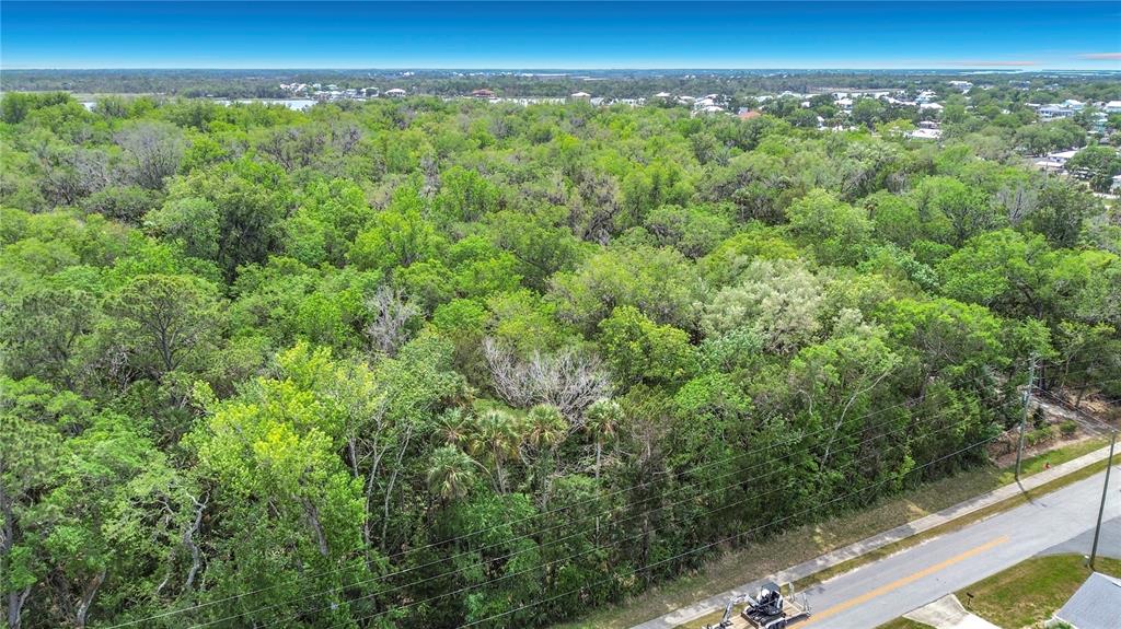 An aerial view shows a dense, wooded lot adjacent to a paved road — 1670 NW 19TH STREET, CRYSTAL RIVER, FL