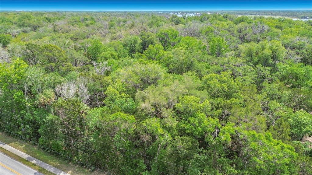 An aerial view shows a dense, wooded lot bordering a paved road and power lines — 1670 NW 19TH STREET, CRYSTAL RIVER, FL
