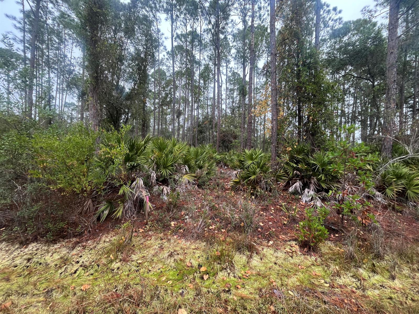 222 Marie Avenue, FL 32139