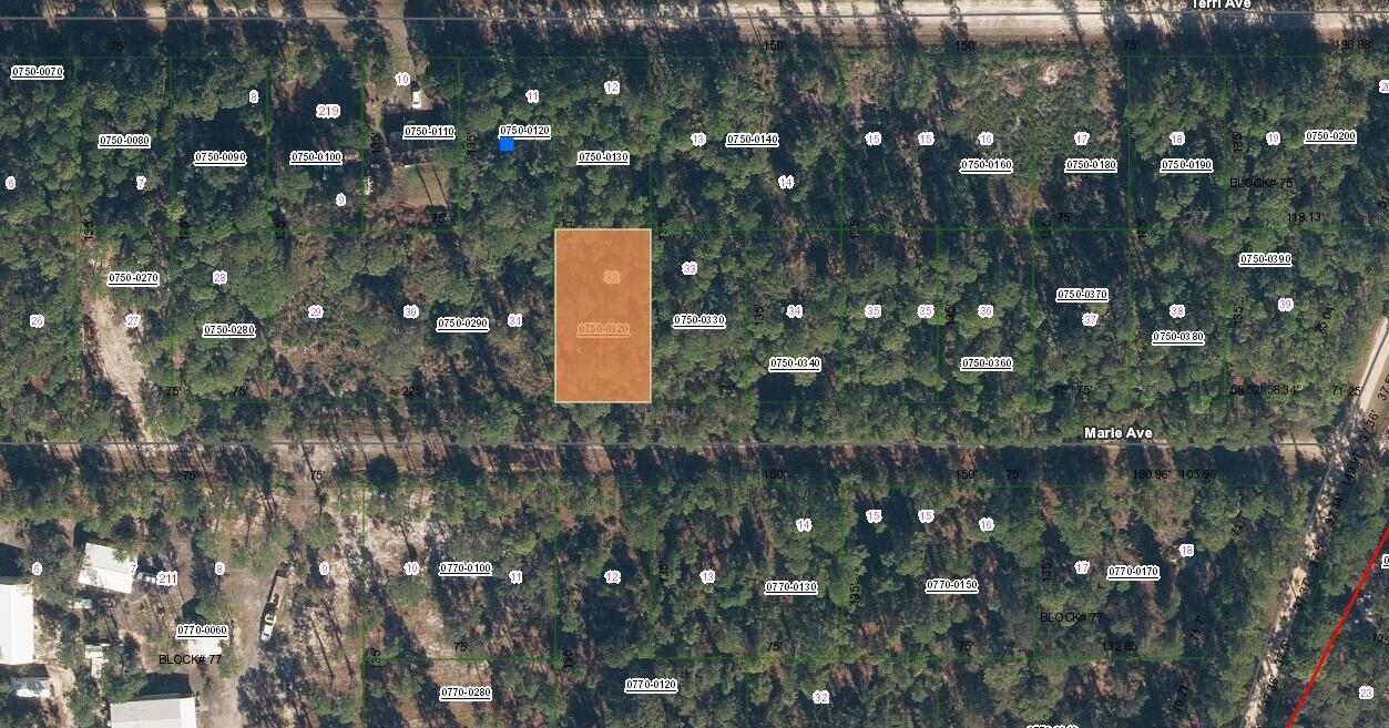 This is a property tax map showing parcel boundaries and lot numbers in a wooded area — 222 Marie Avenue, FL 32139, FL