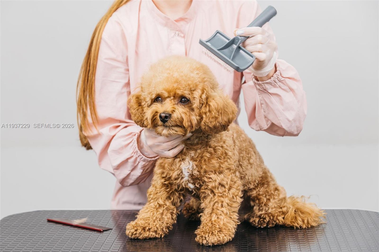Pet Grooming, Pompano Beach FL 33060