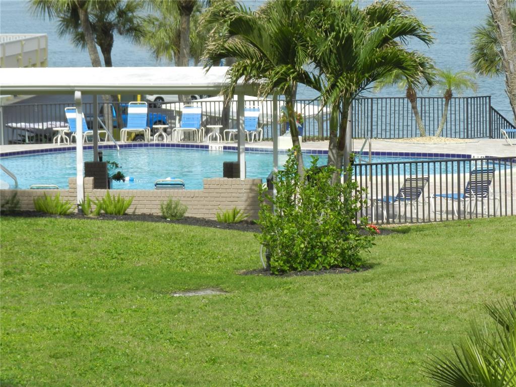 A swimming pool with lounge chairs sits behind a brick wall and metal fence — 100 BLUFF VIEW DRIVE UNIT 109B, BELLEAIR BLUFFS, FL