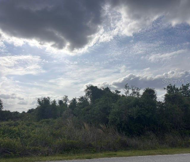 A vacant, overgrown lot with dense trees and shrubs under a cloudy sky — 8395 SW AVIARY ROAD, ARCADIA, FL