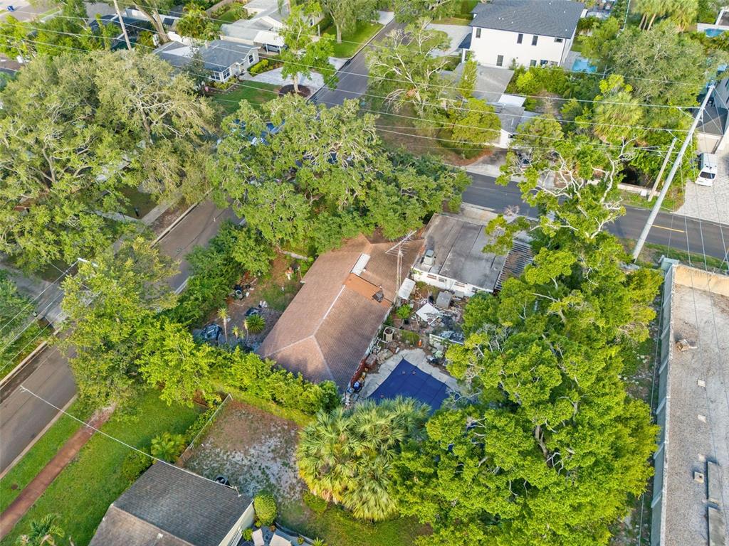 An aerial view shows a house with a brown roof, a pool, and surrounding trees — 4121 WEST PALMIRA AVENUE, TAMPA, FL