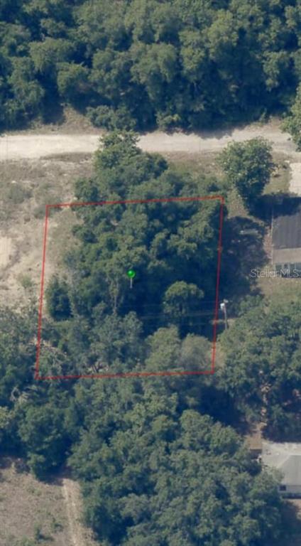 An aerial view shows a rectangular, tree-covered vacant lot outlined in red — 2808 VAN BUREN STREET W, INVERNESS, FL