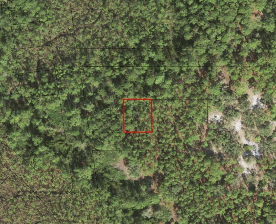 An aerial view shows a rectangular plot of land outlined in red within a forest — 0 Fourth Avenue, FL 34771, FL