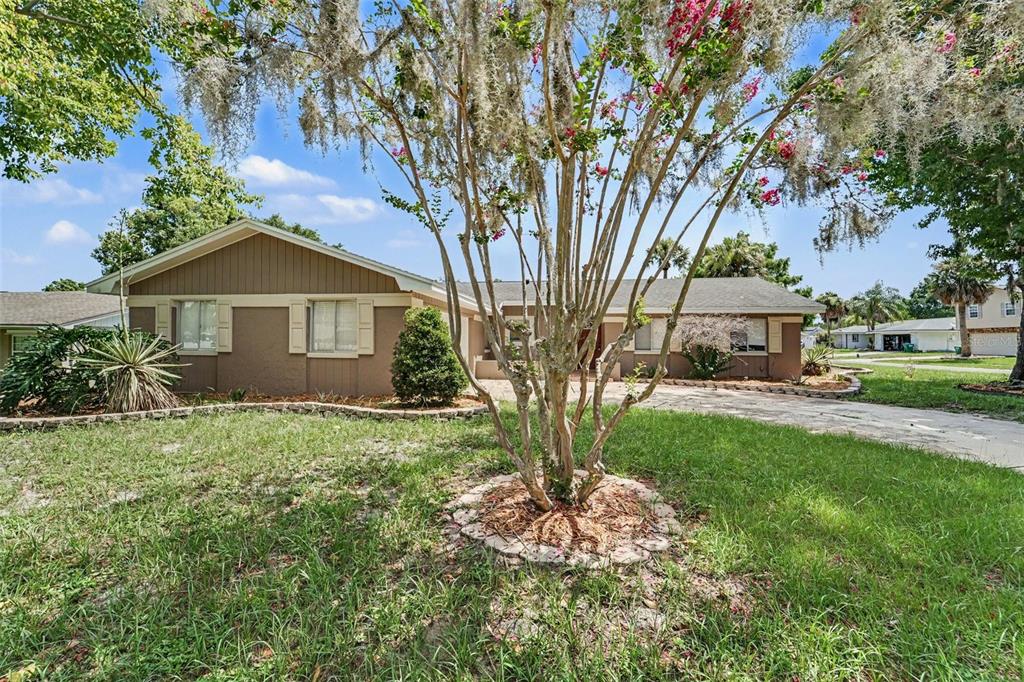 A single-story house with brown siding and a large tree in the front yard — 930 OAK FOREST DRIVE, WINTER SPRINGS, FL