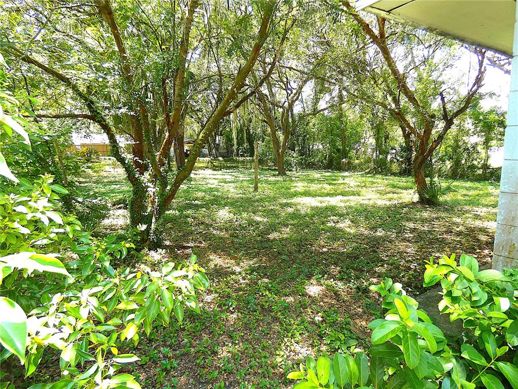 A view of a grassy backyard shaded by several large trees — 106 WILLARD AVENUE, FRUITLAND PARK, FL