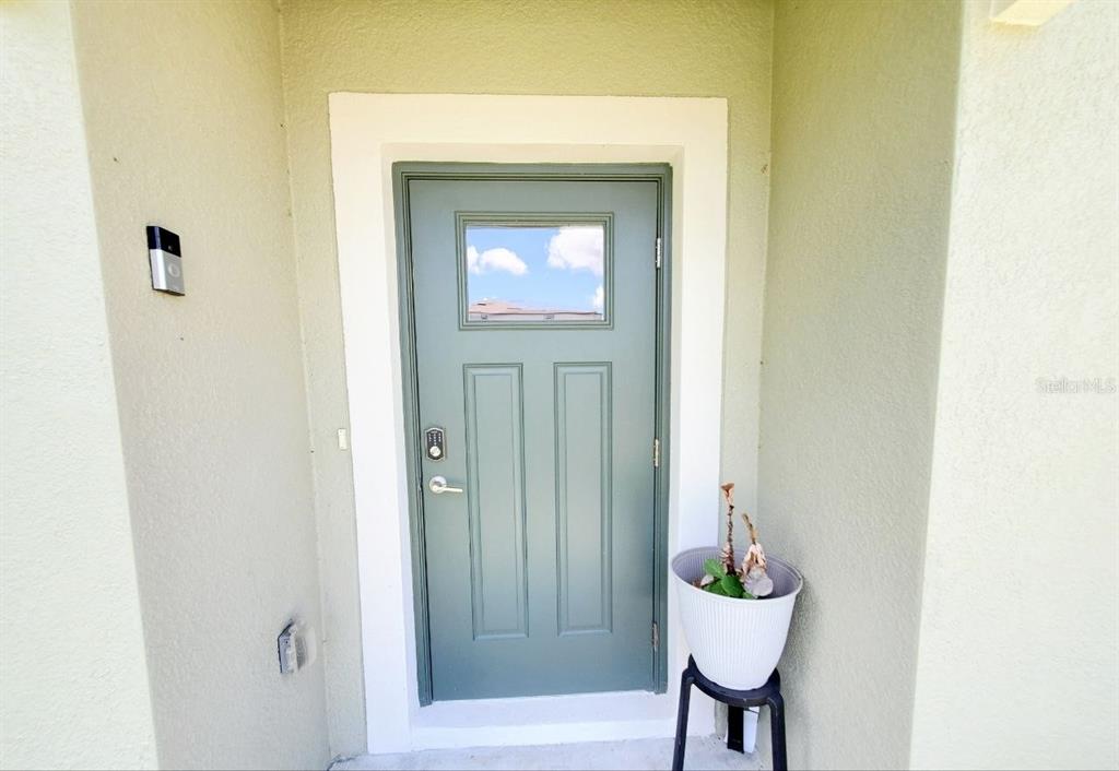 A sage green front door with a window sits in a recessed entryway — 10268 TRUMPET HONEYSUCKLE WAY, SAN ANTONIO, FL