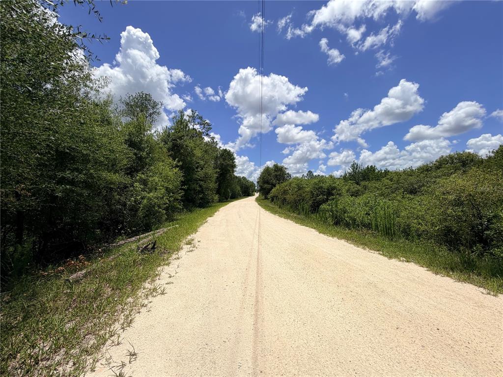 A dirt road winds through a wooded area under a bright blue sky with clouds — LOT 10 HARDSTONE DRIVE, WEBSTER, FL