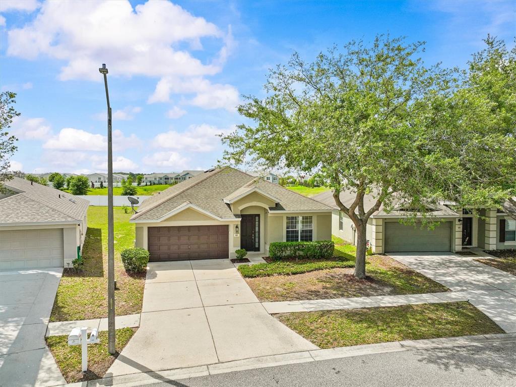 A single-story suburban house with a tan exterior, brown garage door, and a front tree — 601 NODDING SHADE DRIVE, BROOKSVILLE, FL