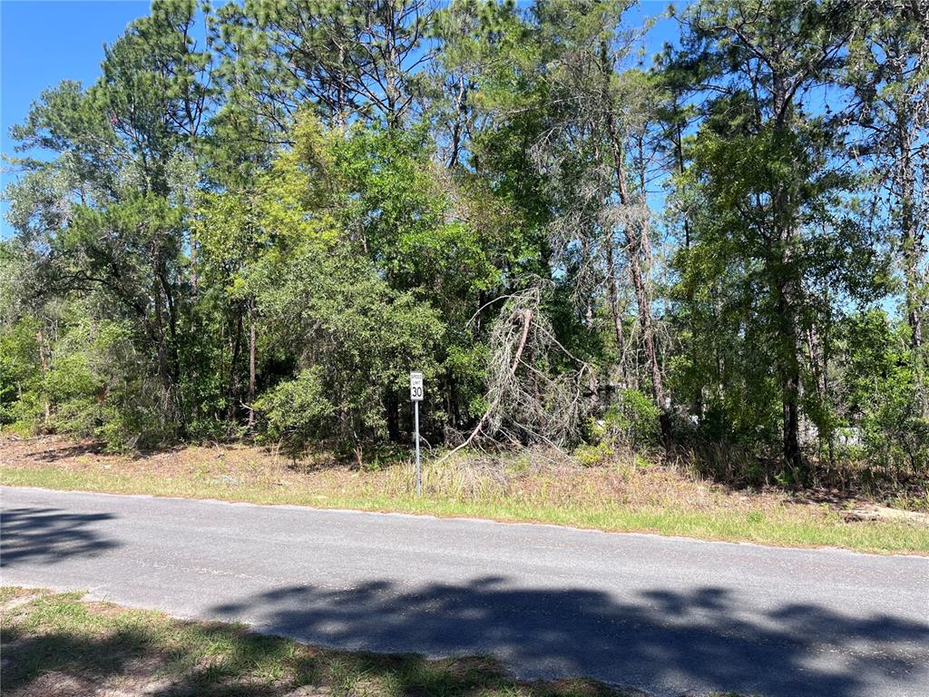 A paved road runs in front of a wooded lot with a speed limit sign — 8000 N POCONO DRIVE, CITRUS SPRINGS, FL