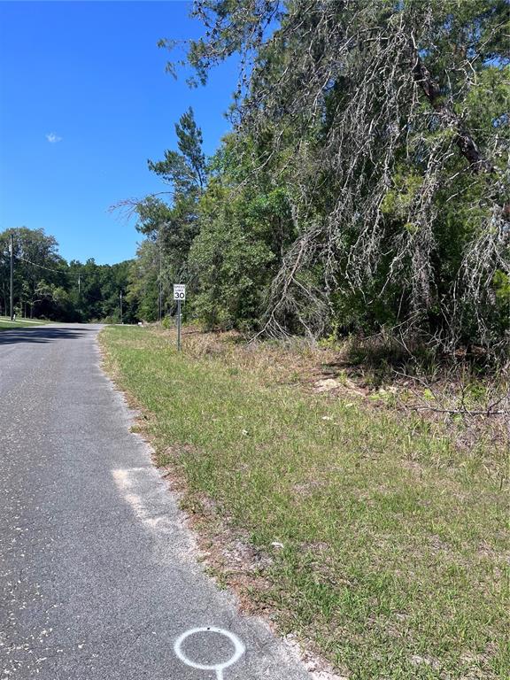 A paved road runs alongside a grassy shoulder with a speed limit sign and trees — 8000 N POCONO DRIVE, CITRUS SPRINGS, FL