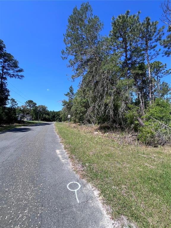 A paved road with a white painted symbol leads toward a wooded lot under blue skies — 8000 N POCONO DRIVE, CITRUS SPRINGS, FL